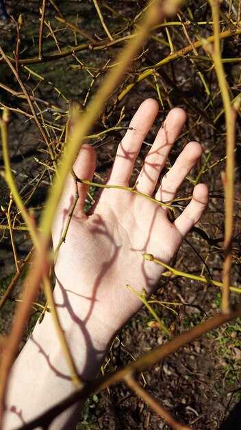 Связь с судьбой: что говорят хироманты?