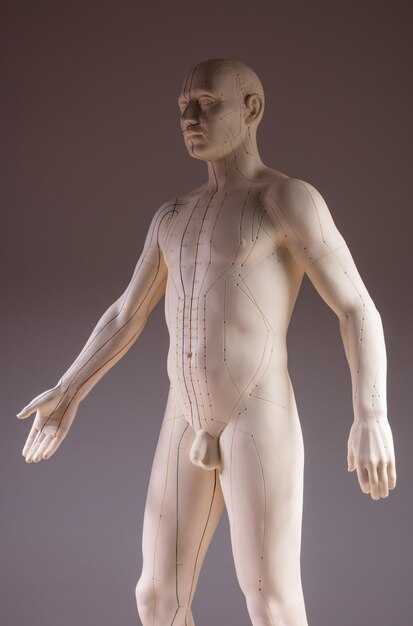 Структура и функции тонких тел