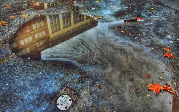 Реакция общества на предстоящие события