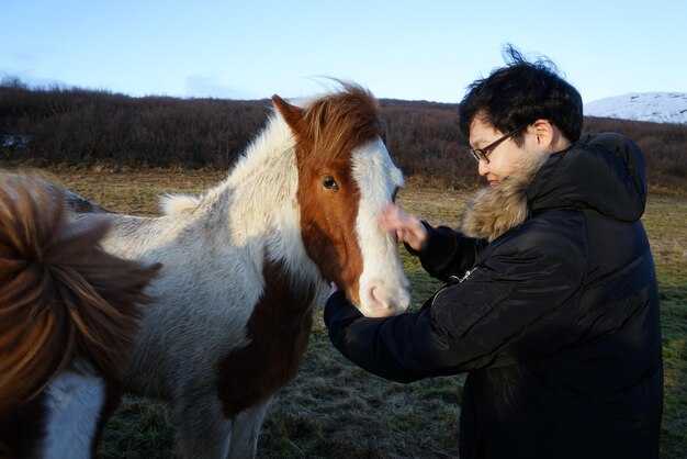 Зачарования для брони: какие стоит рассмотреть?