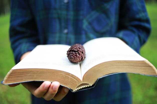 Влияние таких подарков на культурный контекст