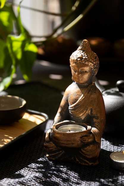 Удобрения: когда и как использовать