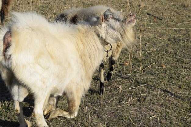 Чувство юмора и общительность