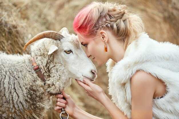 Желание гармонии и мира вокруг себя