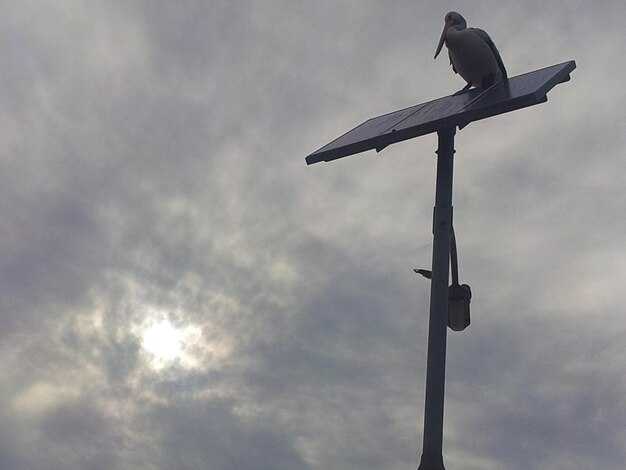 Современныеobservations и интерпретации креста на небе