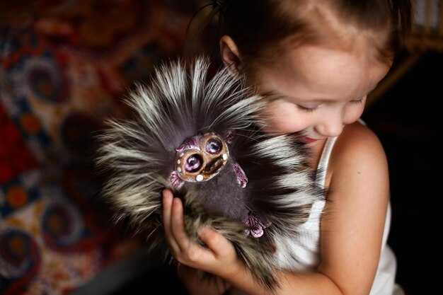 Легенды и мифы о превращениях