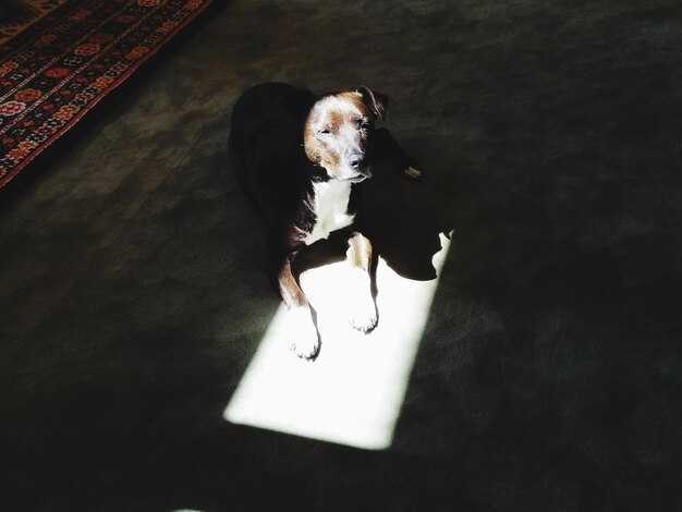 Как подготовиться к возможным изменениям?