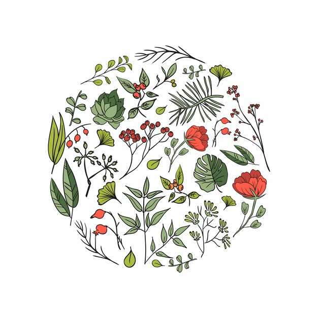 Уход за татуировкой с рябиной: советы и рекомендации