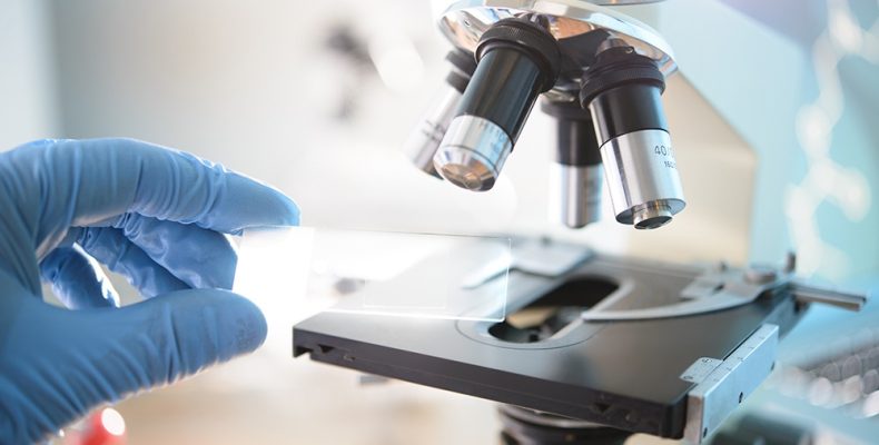 Гистология после замершей беременности: шанс, который нельзя упускать