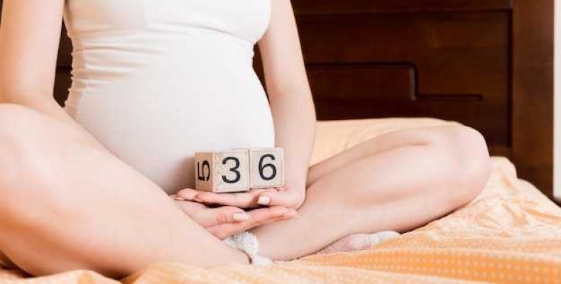 27 недель беременности какой триместр