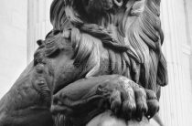 Какой оберегающий камень для Льва превратит жизнь в праздник? Топ-5 мощных талисманов