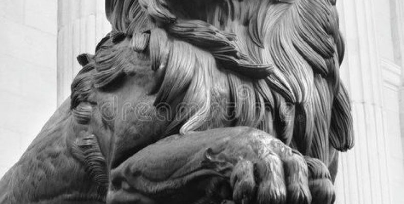 Какой оберегающий камень для Льва превратит жизнь в праздник? Топ-5 мощных талисманов