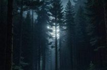 Что обозначает имя Ай на самом деле: Тайна, характер и судьба