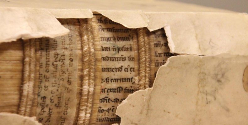 Гнидаяд имя что значит: тайна, скрытая в звуках, способная изменить судьбу