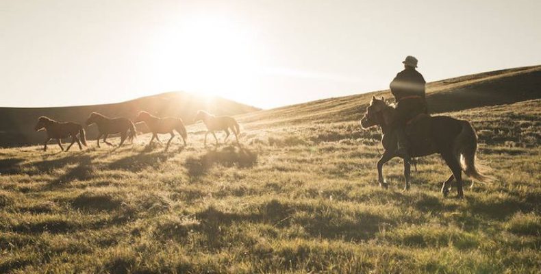Что означает имя Татар: тайна происхождения и характер
