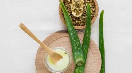 Алоэ мед кагор рецепт как приготовить в домашних условиях