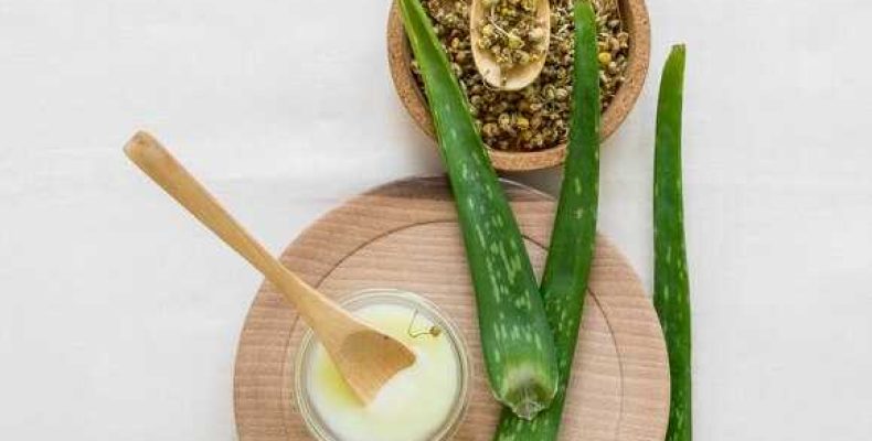 Алоэ мед кагор рецепт как приготовить в домашних условиях