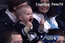 Талисман Северстали: почему хоккейный волк стал главным символом удачи в КХЛ