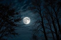 Тайна имени Селена: магия луны, происхождение и характер, который сводит с ума