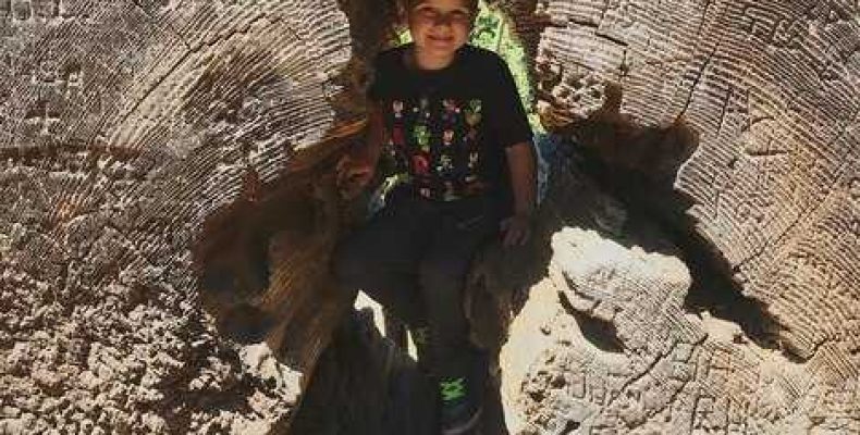 Боги Древнего Египта — Список и Описание, включая Сешат — Женское Имя Мудрости