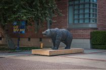 Судьба зубастиков: что стало с талисманами игр в Сочи и где они сейчас