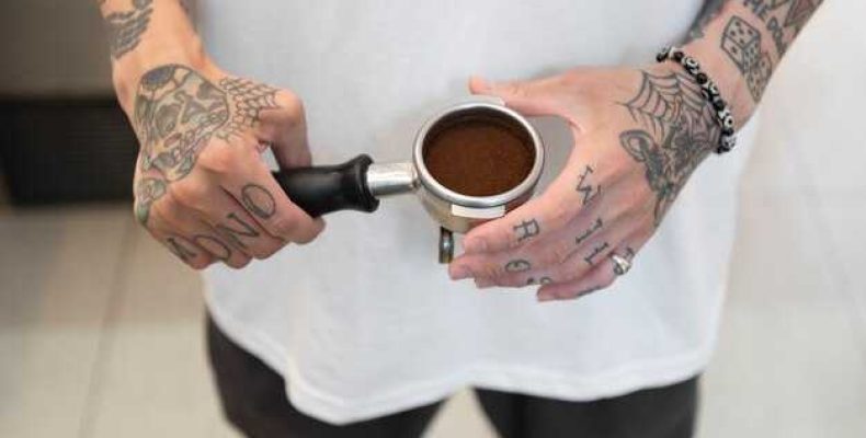 Чаики тату — значение, приметы и символика татуировки чаика