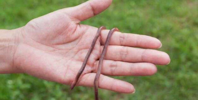 Что означает бежевая нитка на запястье — черная или зеленая нитка — значение и символика