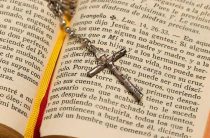 Что такое Лев Иуды — Библейская символика и значения в различных словарях