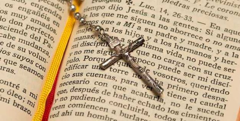 Что такое Лев Иуды — Библейская символика и значения в различных словарях