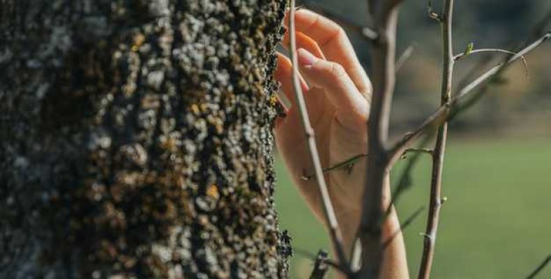 Что такое радиальная ето — значение, местоположение и информация о ветках