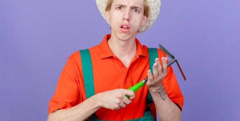 Что значит имя Асел — значение, происхождение и профессии носителей имени