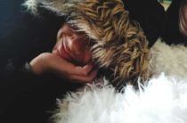 Что значит пух во сне — толкование снов и значения по сонникам