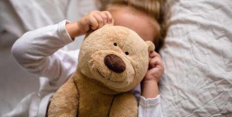 Что значит сон о мягкой игрушке? Плюшевая радость по соннику