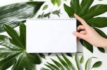 Аборт после 12 недель беременности: что нужно знать о сроках, рисках и последствиях