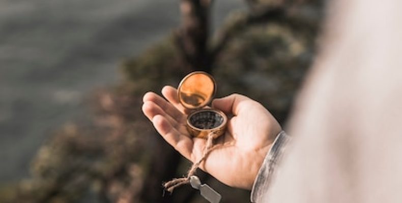 Дзен счастливый амулет: рассказ о том, как найти путь домой за 10 дней