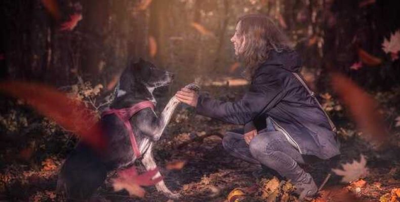 Демонические ритуалы — как вызвать демона для исполнения мечты