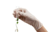 Магний в начале беременности: зачем он нужен и как не допустить дефицита