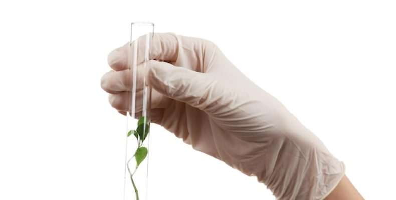 Магний в начале беременности: зачем он нужен и как не допустить дефицита