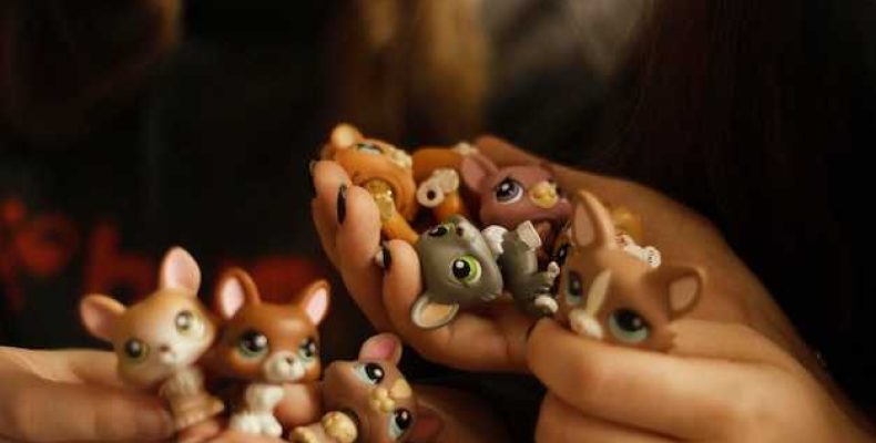 Феншуй — куда поставить фигурку маленькой собачки для привлечения удачи