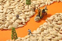 Глифы арахны — практическое применение и актуальные аспекты использования