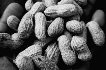 Глифы Арахны — Практическое Применение Проверенных и Сильных Символов