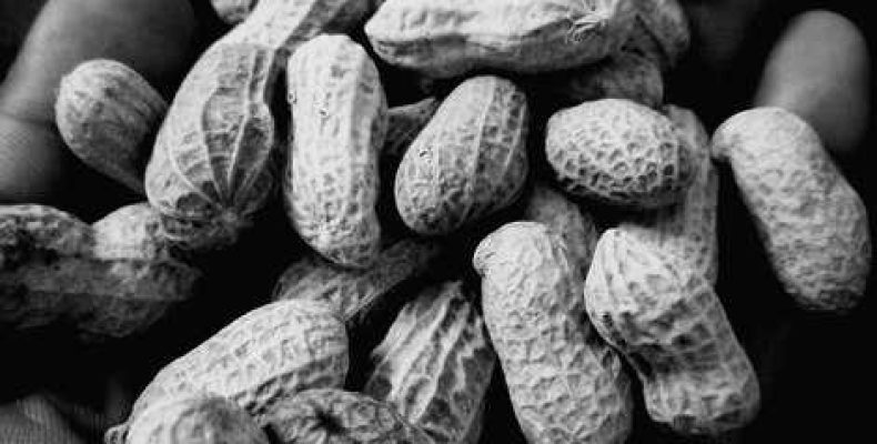 Глифы Арахны — Практическое Применение Проверенных и Сильных Символов