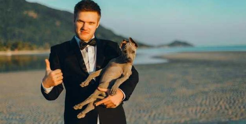 Год собаки для мужчины-Стрельца — что предвещает астрология в 2023 году?