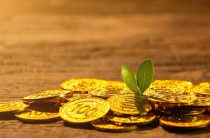 Желтый талисман: почему этот цвет притягивает деньги и удачу сильнее других