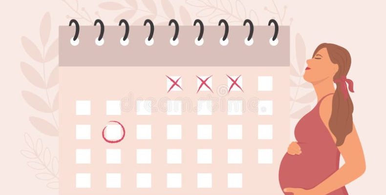 34 неделя беременности: сколько месяцев на самом деле и почему каждая будущая мама обязана это знать