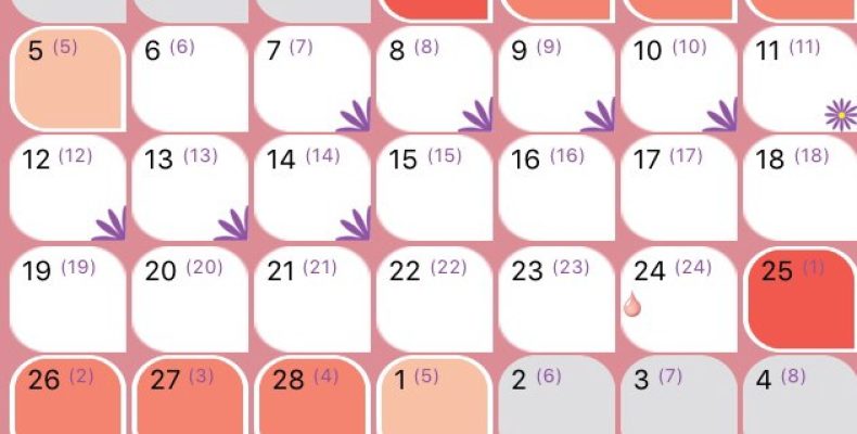 С какого срока считается беременность по неделям: врачи вас обманывают?