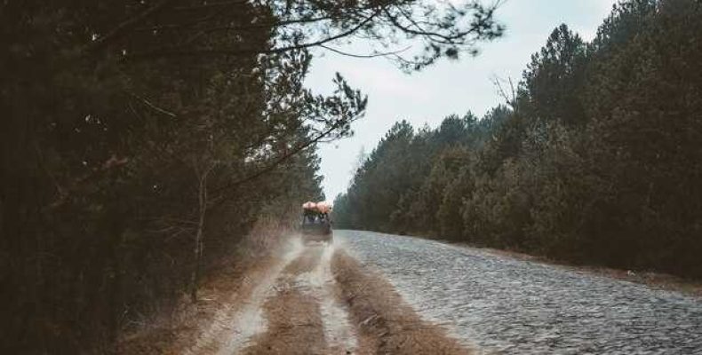 К чему снится грязь на дороге — толкование и значения сновидений