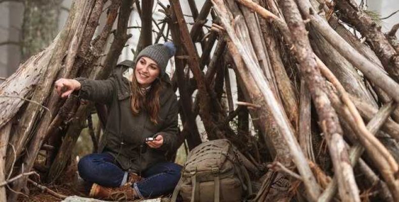 К чему снится, как пилят старые деревья — расшифровка и нюансы сновидений