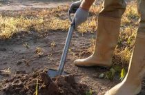 К чему снится копать землю лопатой, экскаватором или руками — толкование и значение снов