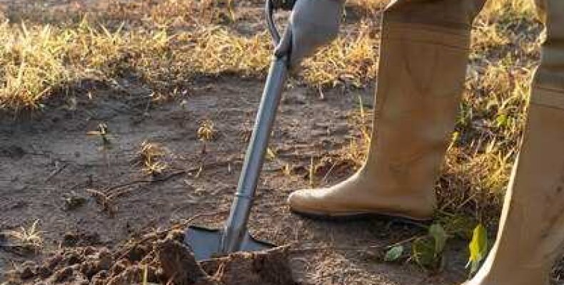 К чему снится копать землю лопатой, экскаватором или руками — толкование и значение снов